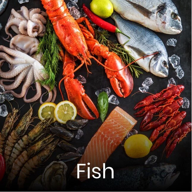 Fish